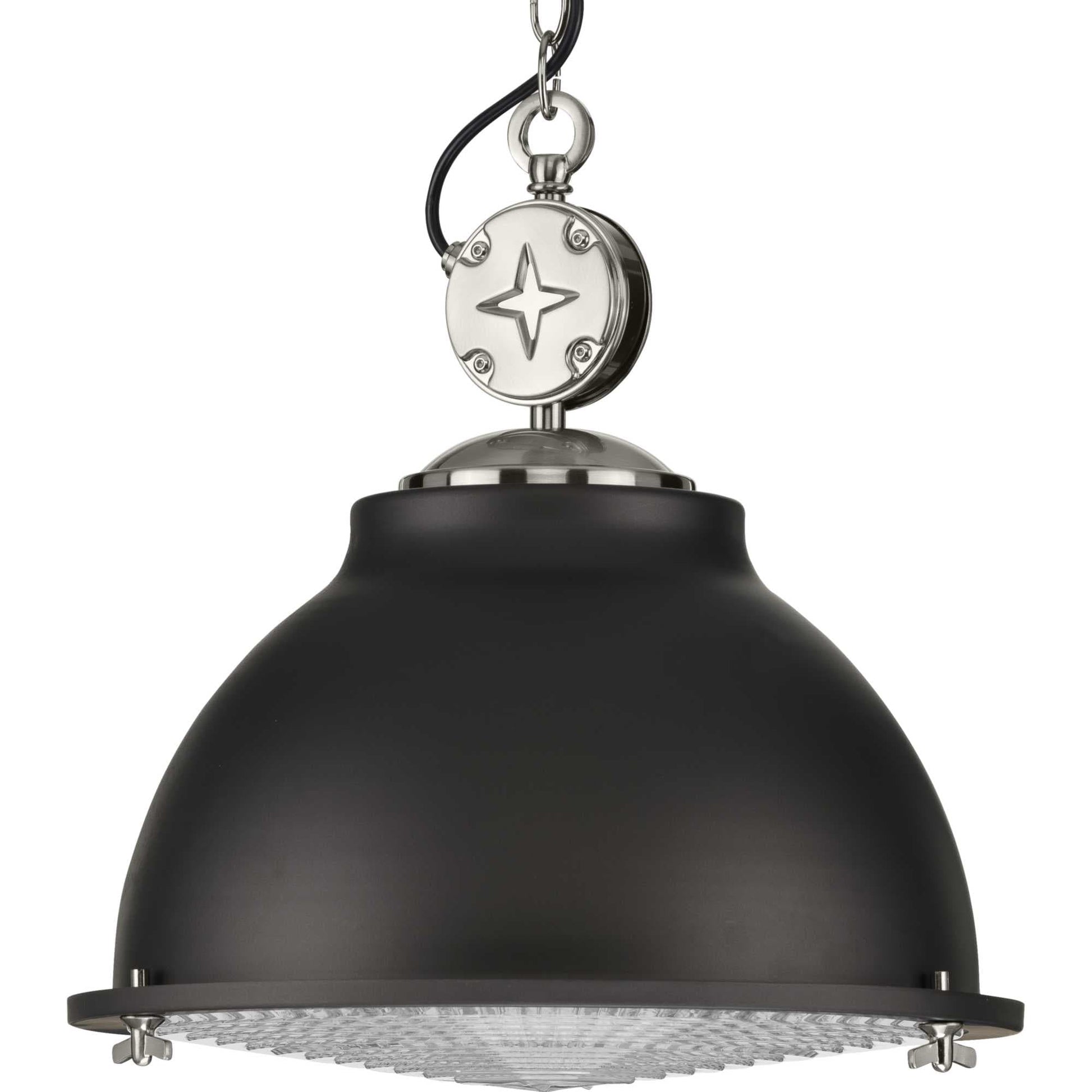 Progress Lighting Medal Graphite Coastal Clear glass Dome Medium Hanging Pendant light 2467520