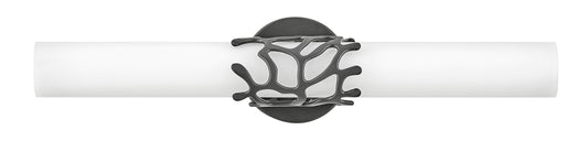 Hinkley Lyra 22.5-in 2 -Light Matte Black Integrated LED Coastal Vanity light 5663132